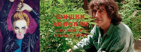 каннабис Алзамай