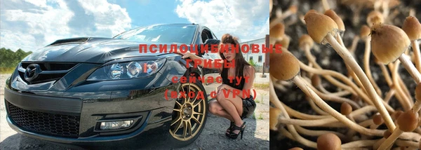 каннабис Алзамай