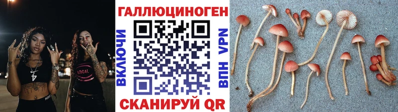 где купить наркоту  MEGA маркетплейс  Галлюциногенные грибы мицелий  Болхов 